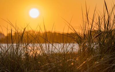 Beat the Summer Heat: Why Now Is the Perfect Time for AC Maintenance